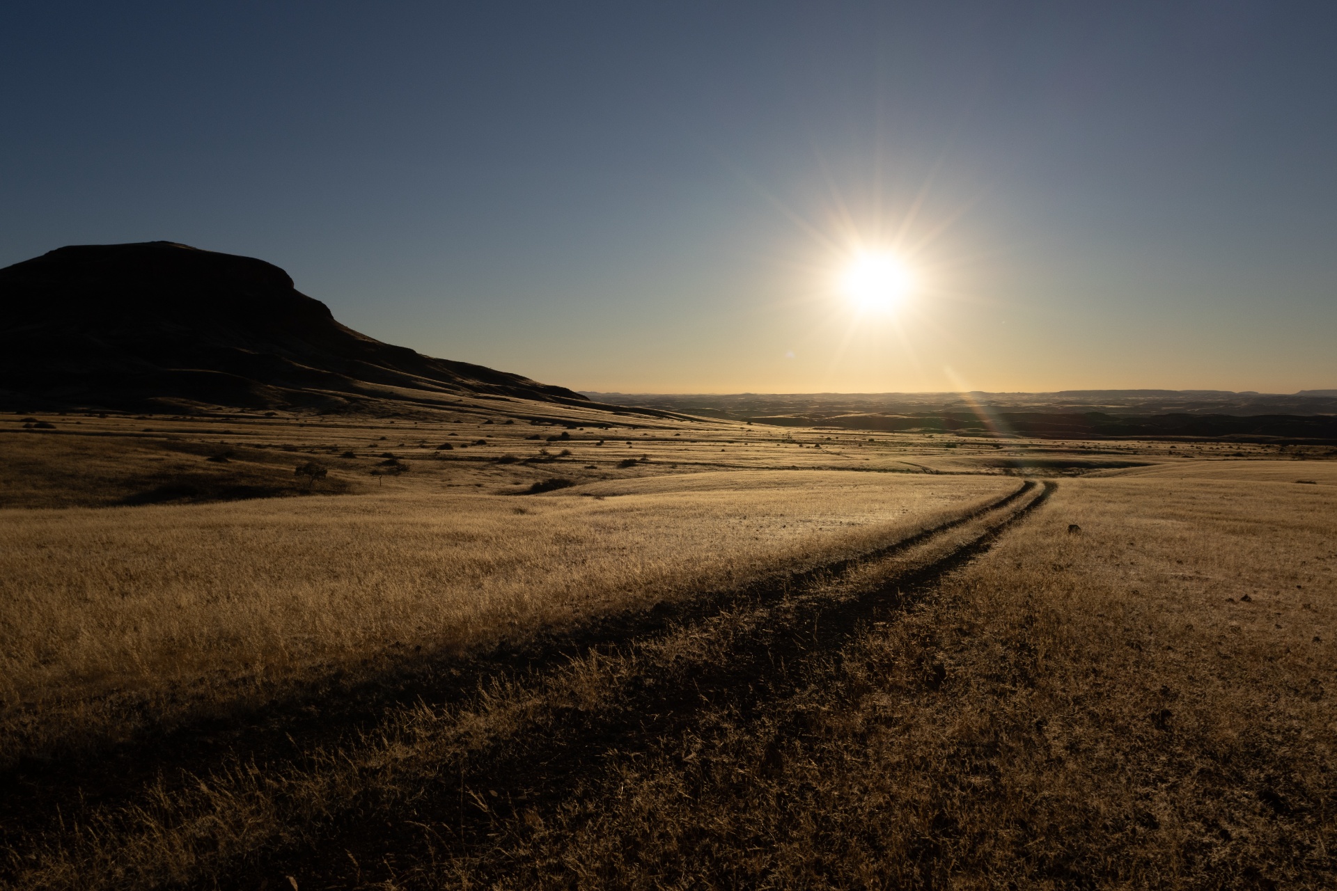Landscape 01